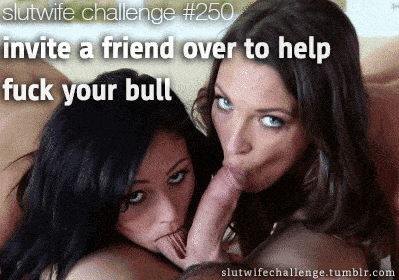 Threesome Gifs Friends Challenges and Rules Bull Blowjob hotwife caption: slutwife challenge #250 invite a friend over to help fuck your bull slutwifechallenge.tumblr.com hotwifecaps blacked gif porn cuckold affair dating boyfriend relationship captions Sexy Stunners Sucking Cock and Balls