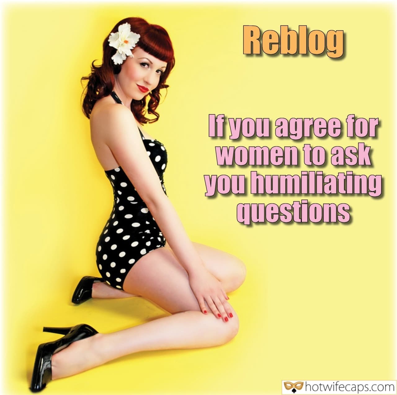 Sexy Memes Humiliation Cuckold Cleanup hotwife caption: Reblog If you agree for women to ask you humiliating questions Pinup Babe in a Black Dress