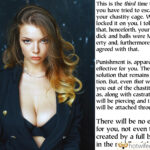 femdom penectomy captions