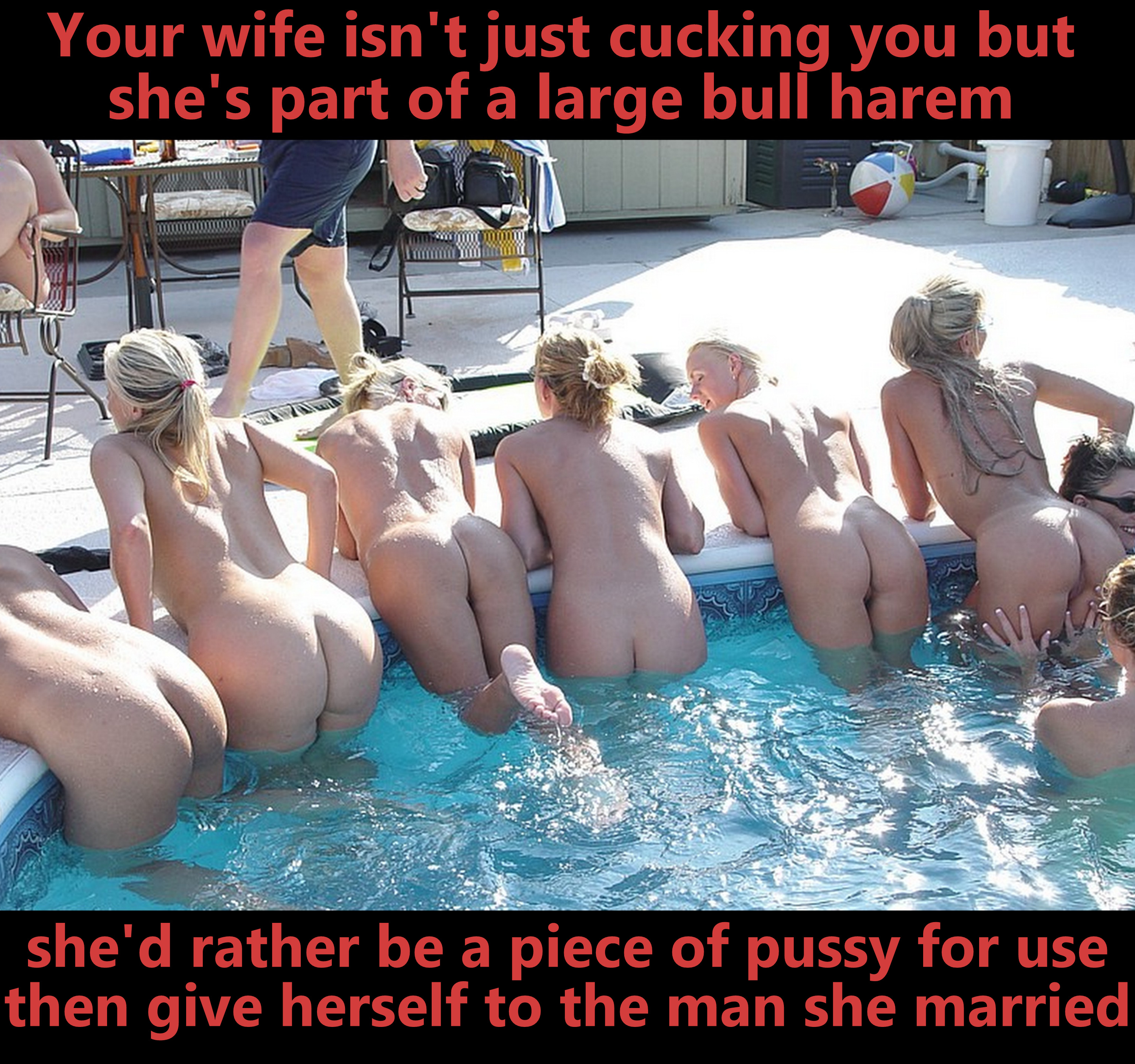 cuckold vacation tips texts submitted by users hotwife cuckold wife exposed wife no panties cuckold humiliation wife group sex make up wife flashing cuckold bull  hotwife caption Shes part of the harem 