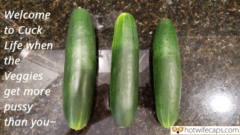 Tips Texts Submitted by Users 🔥 Sexy Memes My Favorite Cuckold Stories Cuckold Cleanup hotwife caption: Welcome to Cuck Life when the Veggies get more pussy than you Cuck Life Captions!