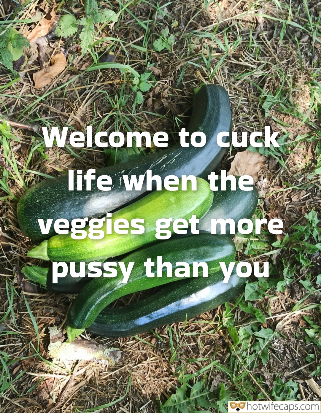 Wife Sharing Texts Submitted by Users 🔥 Cuckold Cleanup hotwife caption: The sun beats down on my face as I kneel in the overgrown garden, the earthy scent of soil and decaying leaves filling my nostrils. I’ve been here for hours, tending to the plants, but my mind is elsewhere. It’s...