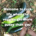 cuckquean humiliation captions