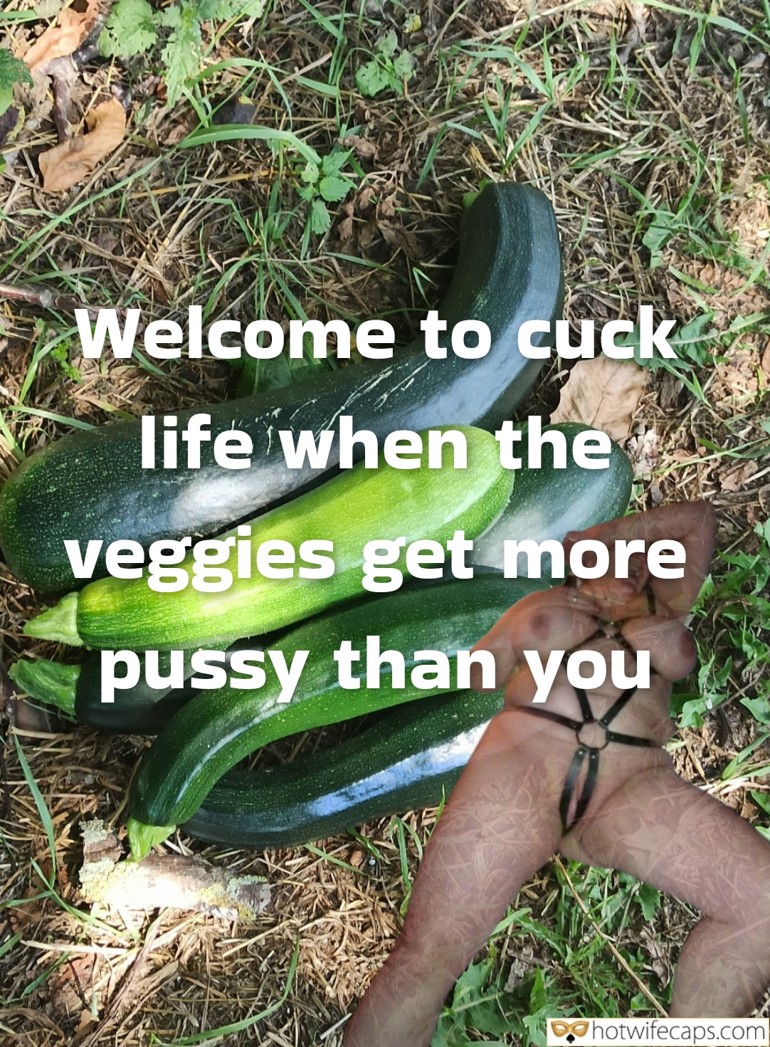 Wife Sharing Texts Submitted by Users 🔥 Cuckquean Bull hotwife caption: A cuckold kneels in a garden, surrounded by vegetables, while his wife enjoys her bull. The scene highlights the power dynamic and humiliation in a cuck... Garden of Submission: Cuckold’s Vegetable Humiliation