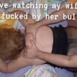 beaten cuckold
