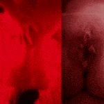 cuckold facesitting gif