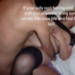 bbw hotwife cuckold