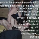 breeding cuck gif